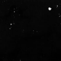 ApuestasBono – Equipo de ApuestasBono Chile