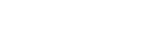 Logo Stake transparente