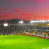 ApuestasBono – Equipo de ApuestasBono Argentina