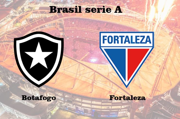 Botafogo contra Fortaleza - Liga Brasil - 7 de Diciembre 2025