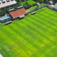 ApuestasBono – Equipo de Análisis Alemania