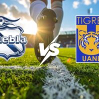 Alemania | Apuestas Bono | Heidenheim vs Hamburger SV